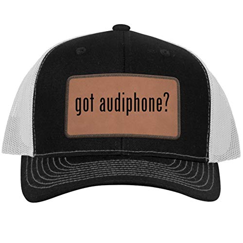 Best Audiphones