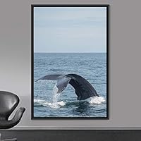 Framed Canvas Wall Art Fish on The Surface Bedroom Dolphin Marine Life Multicolor Nautical Photography - 16x24 inches