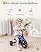 KRIDDO 4-in-1 Kids Tricycle for 1.5 to 3 Yea Old with Parent Steering Push Handle, 12 Inch Front Wheel Trike, Toddler Balance Bike for Boys Girls 18 Months to 3 Years, Adjustable Height, Blue
