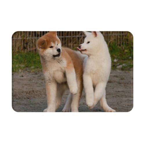 ���킢���H�c�� �h�_�j����~�ߕt�J�[�y�b�g �h���I�[���V�[�Y�����g�[�}�b�g 40x60cm