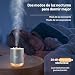 Imagen de Humidificador de aire portátil 500