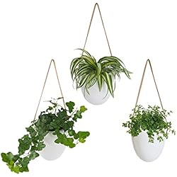 Maceteros Largos Para Colgar Gadgy Macetas Colgantes | Set di 3 Macetas para Colgar | Macetero Colgante | Maceteros Colgantes | Adornos para Cocina | Plantas Colgantes Interior | Decoracion terraza |Macetero Pared