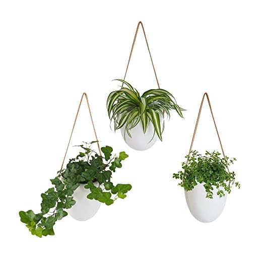 Gadgy Vasi da Parete | Set di 3 | Fioriera da Parete | Porte Piante da Parete | Vasi Appesi | Porta Piante da Parete | Vasi da Appendere al Muro | Porta Vasi Sospesi | Vasi Design per Interno