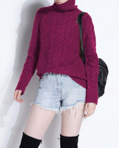 Image of Wool Sweaters Women's Turtleneck Pullover Female Loose Long Sleeve Tops Winter Thick Knitted Jumper