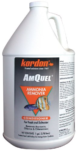 Kordon #31262 AmQuel- Ammonia Detoxifier for Aquarium, 1-Gallon ONLY