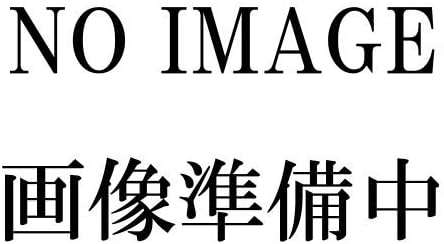 Naniwa Abrasive Mfg Super Sharpening Stone (no stand) S220 [IN-5202] (Japan Import)