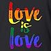 Love is Love Women's V-Neck T-Shirt Gay Pride Slim FIT Shirts Large Black