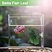CAPASTEC Betta Fish Leaf, Natural Habitat Simulation for Betta Spawnings Grounds, Betta Spawnings Leaves, Resting Bed, Double Leaves, Green