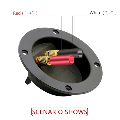 Fiche banane haut-parleur sans soudure pour stopper les grésillements audio 8mm - 5