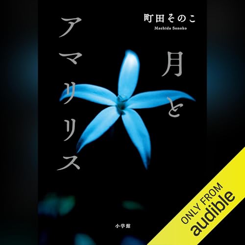 月とアマリリス cover art