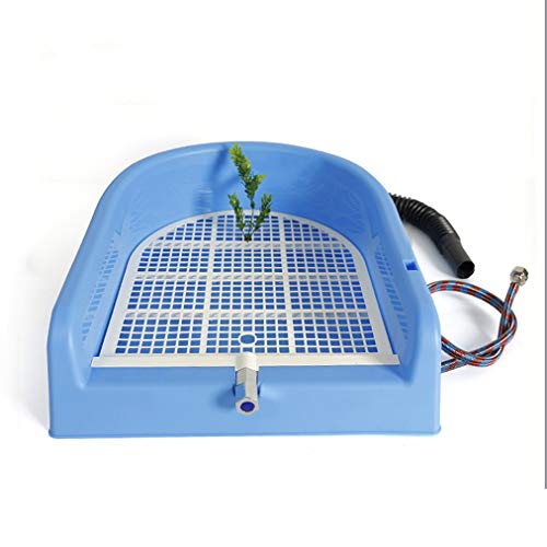 Toilettes portables pour chien avec nettoyage automatique et évacuation directe
