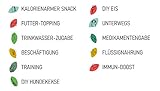 Hunde Smoothie SmoothieDog 6er Immunio (Rind) - Flüssiges Hundeleckerli - Zucker- & glutenfrei - je 250ml