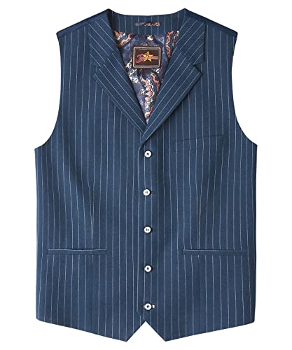 Gilet rayé sensationnel Joe Browns aux finitions premium