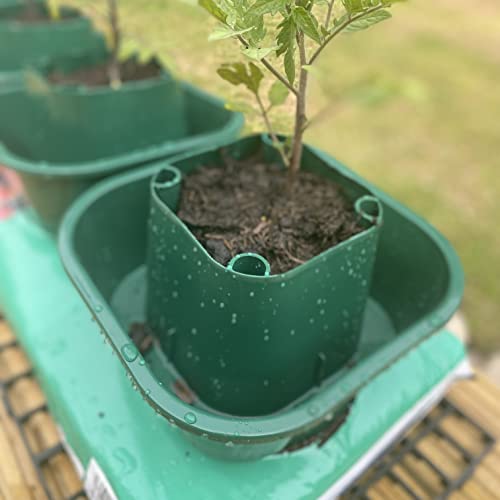 Selections Tomato and Vegetable Growbag Pots for Improved Watering - Pack of 6