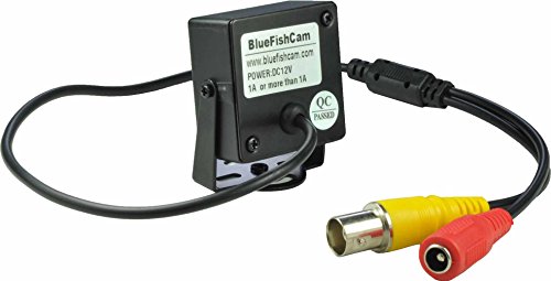 BlueFishCam Wired Mini Analog CCTV Camera Wide Angle 2.5mm Lens (with 3.6mm for Spare) CMOS 700TVL with IR Filter Color Security Camera Daytime Vision with Free Power Supply