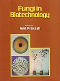 Fungi in Biotechnology