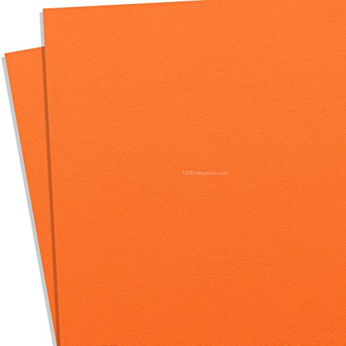 KYDEX Thermoform Sheet - (P1 Texture) - (.060 Thickness) - (8in x 12in) - (Hunter Orange) - (2 Sheets) - DIY Holster Making, Airsoft Armor, Cosplay Uniforms, RC Models