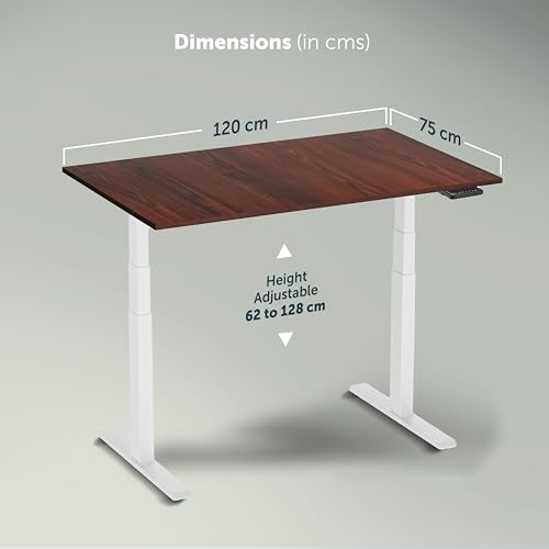 Image of JIN OFFICE Titan Premium Dual Motor 3-Stage Electric Height Adjustable Table| Sit Stand Desk with 125kg Wt. Cap, 3 Year Warranty| Standing Desk for Home| 3 Memory Presets| White & Brown| 1200 * 750mm