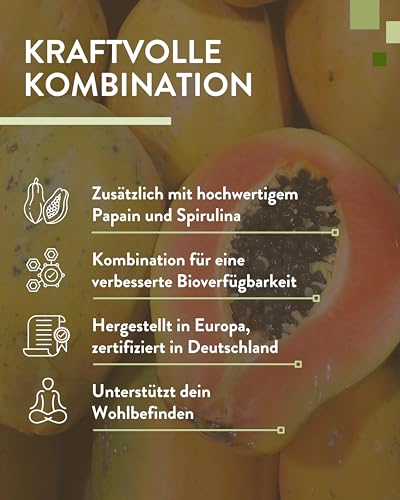 PlusVive Magnesium Kapseln hochdosiert I 1x 365 Kapseln I 700mg Magnesium Hydroxid pro Kapsel I Magnesium aus Meerwasser I mit Papain & Spirulina I Nahrungsergänzungsmittel vegan & laborgeprüft