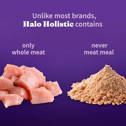 Halo Holistic Senior Dry Dog Food, Cage-Free Chicken & Sweet Potato, 10 lb - image 4