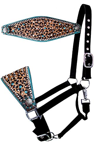 Showman Nylon Bronc Halter w Hair-On Cheetah Print & Teal Leather Noseband, Cheetah Teal, Average Full Size Horse