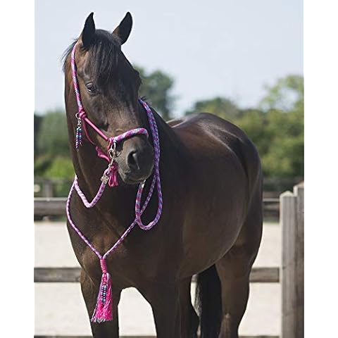 QHP Cabezada de Cuerda + riendas + Correa Cover