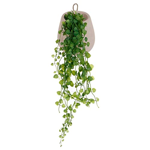Atmosphera - Lierre Artificiel - Pot en Ciment - H62 cm