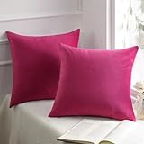 Phantoscope Pack of 2 Velvet Decorative Throw Pillow Covers Soft Solid Square Cushion Case for Couch Pink 18 x 18 inches 45 x 45 cm