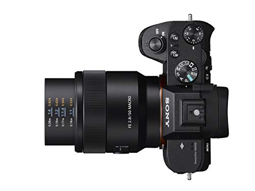 Sony SEL50M28 FE 50mm F2.8 Full-frame E-mount Macro Lens