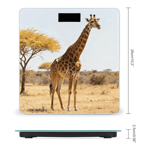 Báscula digital de baño precisa y estable BTCOWZRV miniatura 2