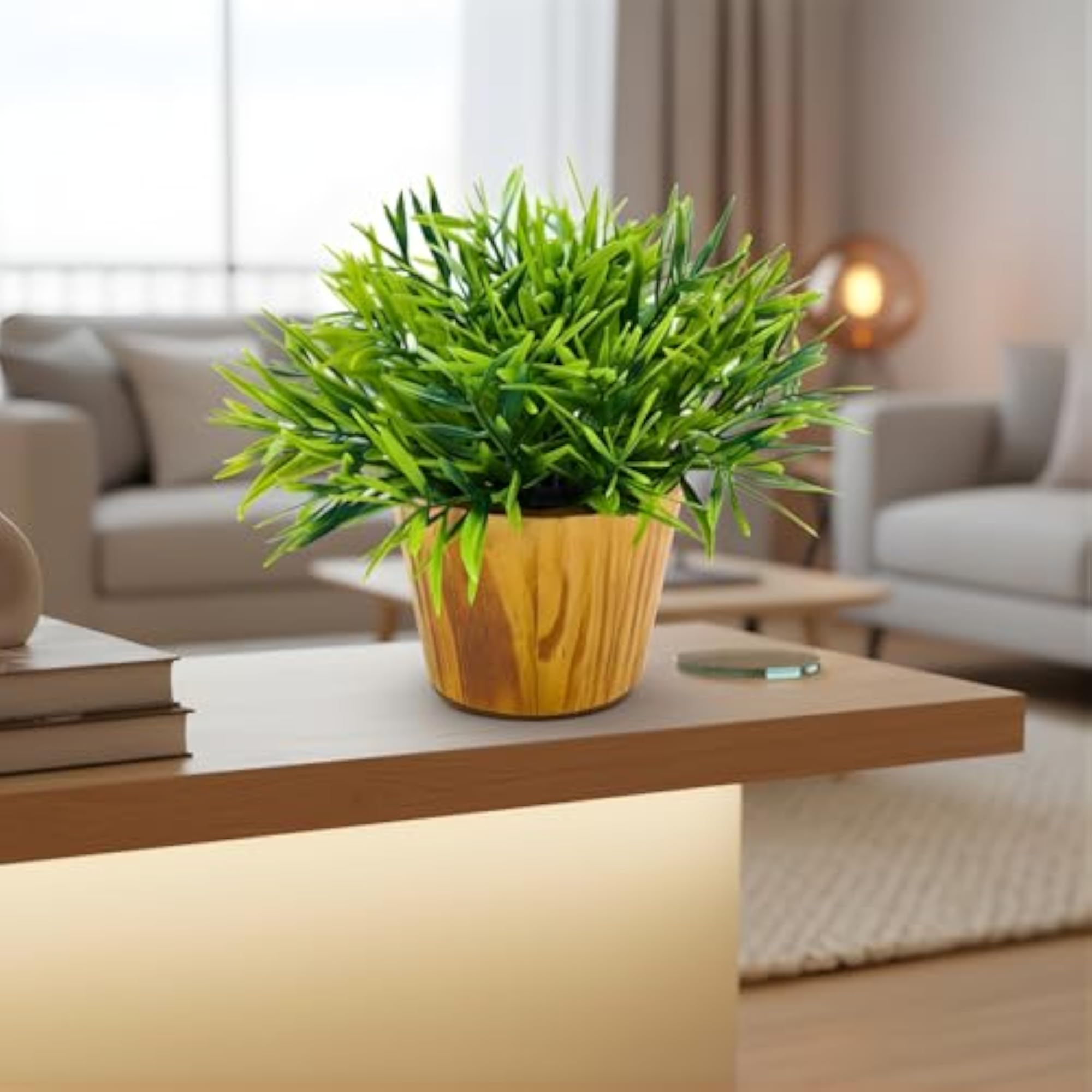 Mini Bamboo Plant in Wooden Pot for Home Decoration