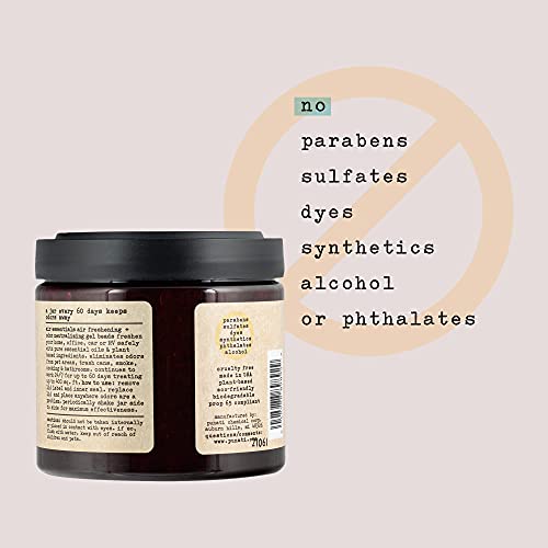 Air Essentials Air Freshener & Odor Neutralizer Gel Beads - Odor Eliminator - Made With Pure Essential Oils - Eucalyptus Mint - 12 Ounce - 2 Pack #TOP2