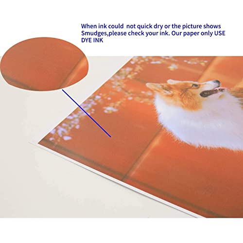 Koala Double Side Glossy Photo Paper 8.5X11 Inches 120Gsm 100 Sheets Compatible With Inkjet Printer #TOP7