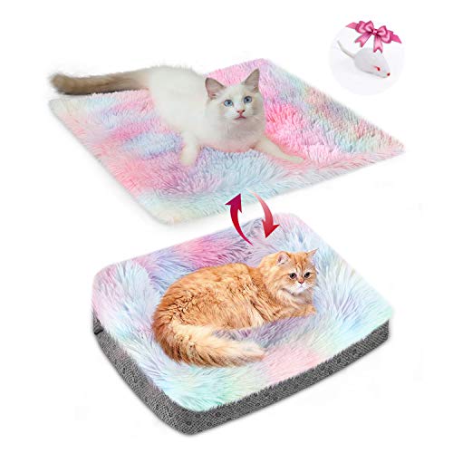 Chintu Cat Bed Pad for Indoor Cats Machine Washable Mat 2-in-1 Pet Beds for Medium Small Dogs Plush Fluffy Dog Bed Faux Fur Cat Cushion Rainbow 20x24 Inch