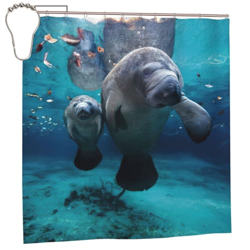 Rideau de douche en polyester durable avec 12 œillets inox - 2