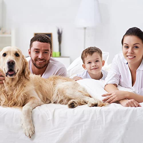 Homeideas 6 Piece Bed Sheets Set Extra Soft Brushed Microfiber 1800 Bedding Sheets Deep Pocket, Wrinkle & Fade Free (Full,Sage Green) #TOP4