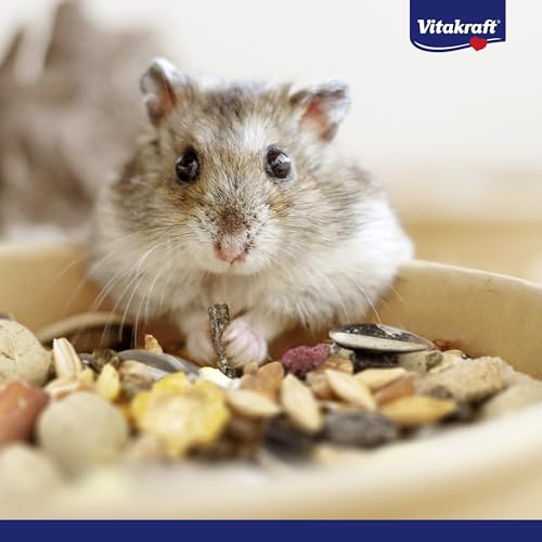 Vitakraft Menu Vital, Hamsterfutter, mit Gemüse, mit Nüssen, mit lebenswichtigen Vitaminen und Mineralien, ohne Zusatz von Zucker (1x 1kg)