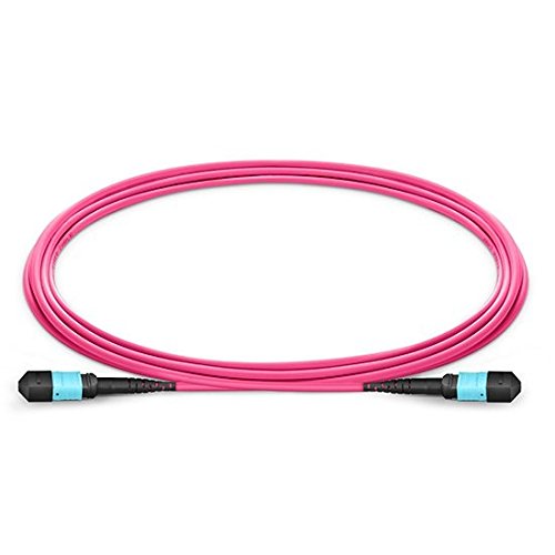 Câble MPO vers MPO 12 fibres OM4 assurant une intégrité de signal supérieure sur 15m