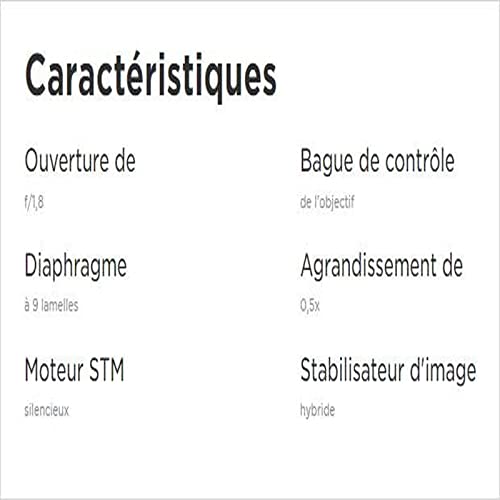 Objectif Canon RF 35 mm F1.8 Macro is STM, Grand-Angle, stabilisateur d'image Optique 5 Vitesses, Photo Rue, Voyage, Macro, Compatible Canon EOS R