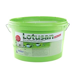 Südwest Lotusan Silikonharz-Fassadenfarbe 12,5L