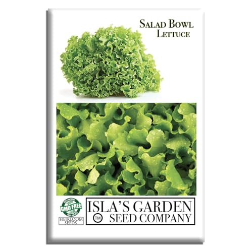 Salad Bowl Lettuce Seeds (Lactuca Sativa) – 1000+ Non-GMO Heirloom Seeds by Isla’s Garden Seeds, Tender Oakleaf Variety, Cut-and-Come-Again Harvests, Cool-Season Greens, Great Gardening Gift Idea