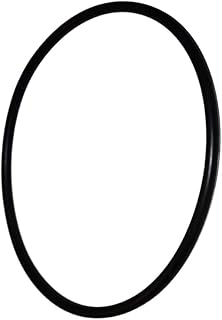 MFLAMO 1 Pack DEX2400Z5 O-Ring Compatible with Hayward Outlet Elbow for Micro-Clear & Swim-Clear, (Lubricating Grease)