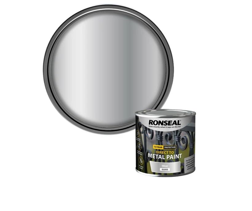 DUAYRA Metal Paint | Anti Rust Water Based | Quick Drying Formula | Long Lasting Finish | Metal Surface Paints | No Primer Needed | Tough, Durable & Weather Resistant | (Silver Gloss, 250ml)