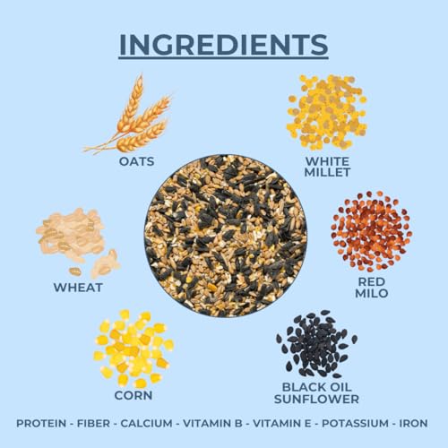 Ma Poule Express All Season Wild Bird Food Blend - Premium Canadian Supplier for Bird Seeds, (5lbs) 2.27KG Bag - Image 5