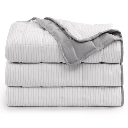 Casa Platino Pre-Washed Soft Lightweight Premium Reversible Down Alternative Blanket - All Season Ticking Stripe Silver