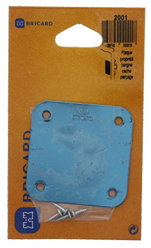 BRICARD 2001 Platte einäugig Cache Bohren