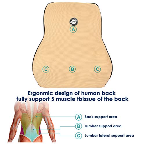 Image of Oshotto Air Fabric Lumbar Support for Office Chair | Back Pillow for Car | Memory Foam Orthopedic Cushion - Provides Low Back Support Compatible with Chevrolet Aveo (Beige)