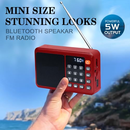 Fire Turtle Pocket Blast FM Radio with Bluetooth Speaker with Powerful Sound,FM Recording, Antenna, 6w-12 Hours (USB Charging) and Number Pad (AUX,... - Image 5