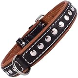CollarDirect Studded Dog Collar Leather Pet Collars for Dogs Small Medium Large Puppy Soft Padded Brown Black (Black, Neck fit 20' - 22')