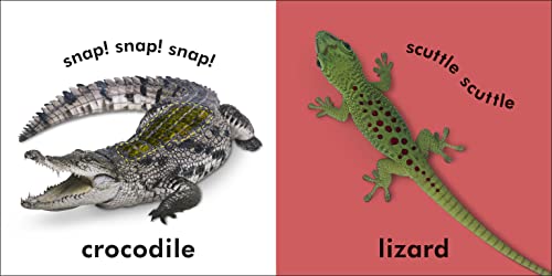 Baby Touch and Feel Wild Animals